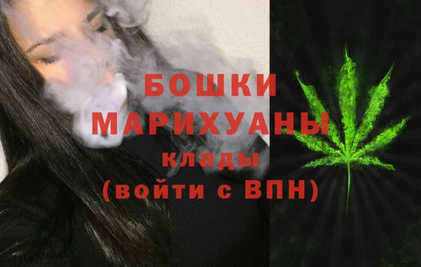 ешки Медногорск