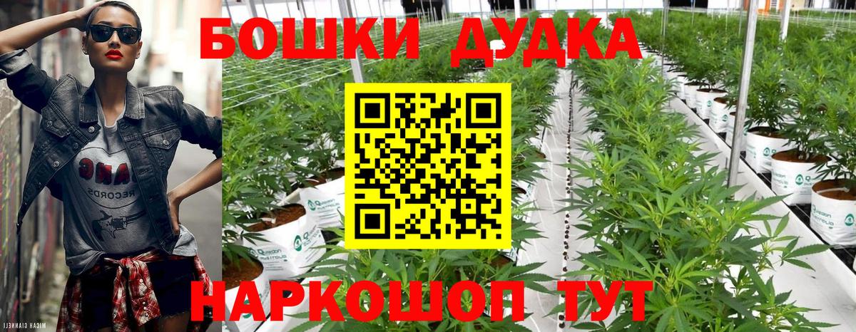 Бийск  Каннабис Amnesia  Бошки марихуана AK-47  Вход с VPN  Конопля семена 